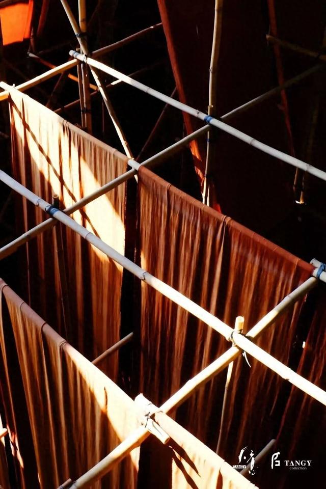 跟着顺德“德甲”游伦教！两日解锁非遗与古建的魅力