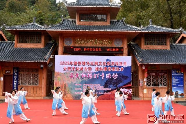 德保：红枫映太极 康养醉壮乡