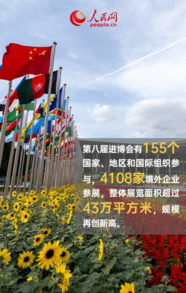 规模再创新高！9图速览第八届进博会亮点