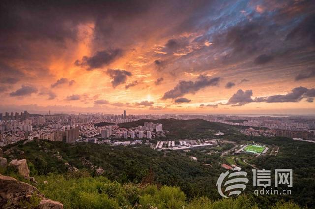 信号山：环山观景一键直达 青岛公交重塑城市出行新体验