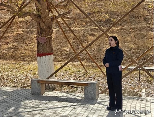 以声为桥，以树为证：一名讲解员眼中的精神传承