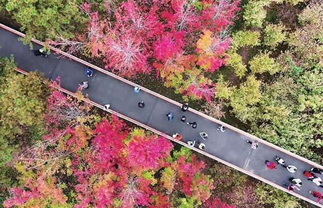 五彩斑斓好个秋