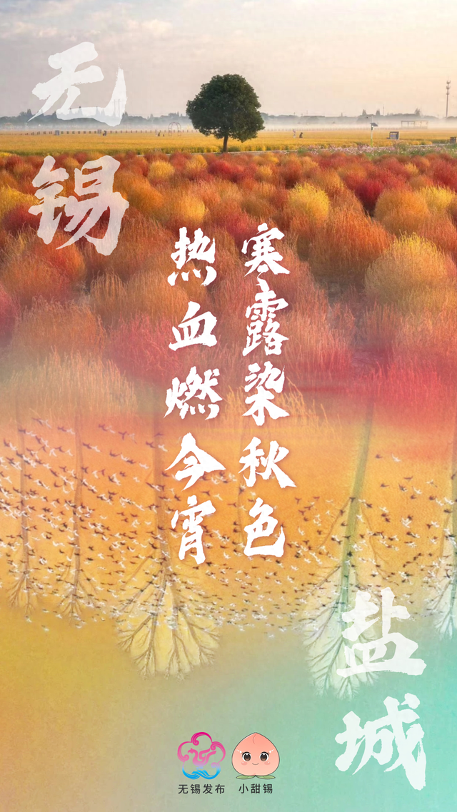 再 致 盐 城