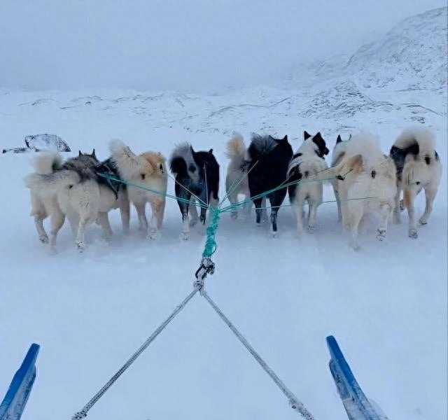 我在格陵兰住了半年我才明白：这里的孤独感，和北欧的完全不是