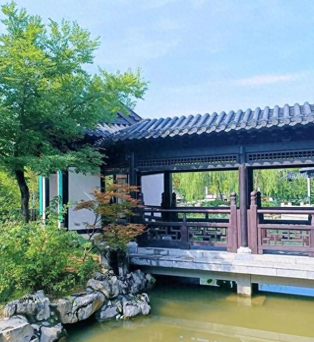 大连游客评洛阳郑州：两地居民气质大不同！