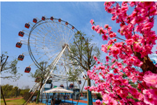 石首：桃花山上“花”样新