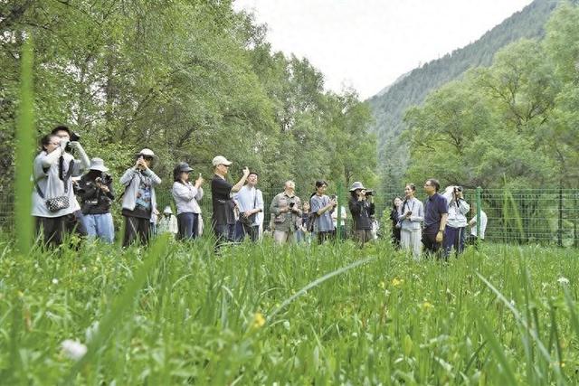 港媒记者祁连山行 惊叹“生物宝库”之美