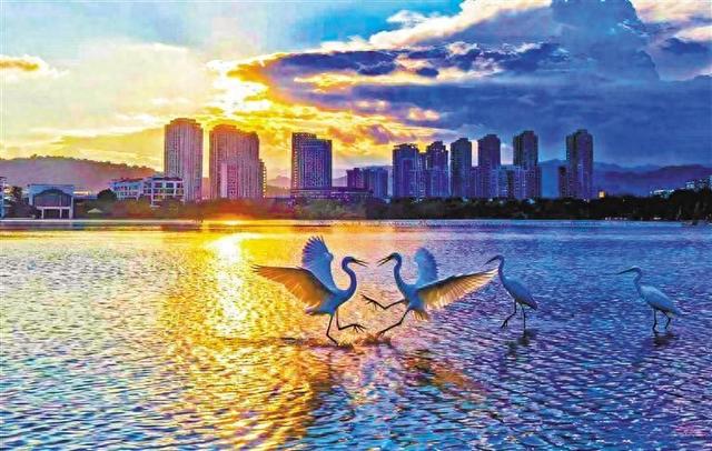 【大美中国】湿地秋色