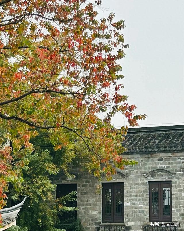 散文随笔：秋在心上，我在路上