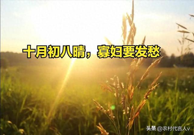 “十月初八晴，寡妇要发愁”，今日十月初八	，晴天会怎样？了解下