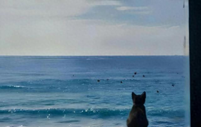 我是重庆人，一家人去成都旅居一个月，真有点想不明白这三件事