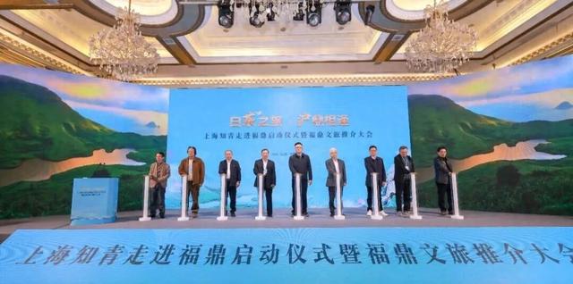 沪鼎相逢，大有看头