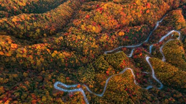 红叶舞动天地间，瑰宝灿烂光雾山