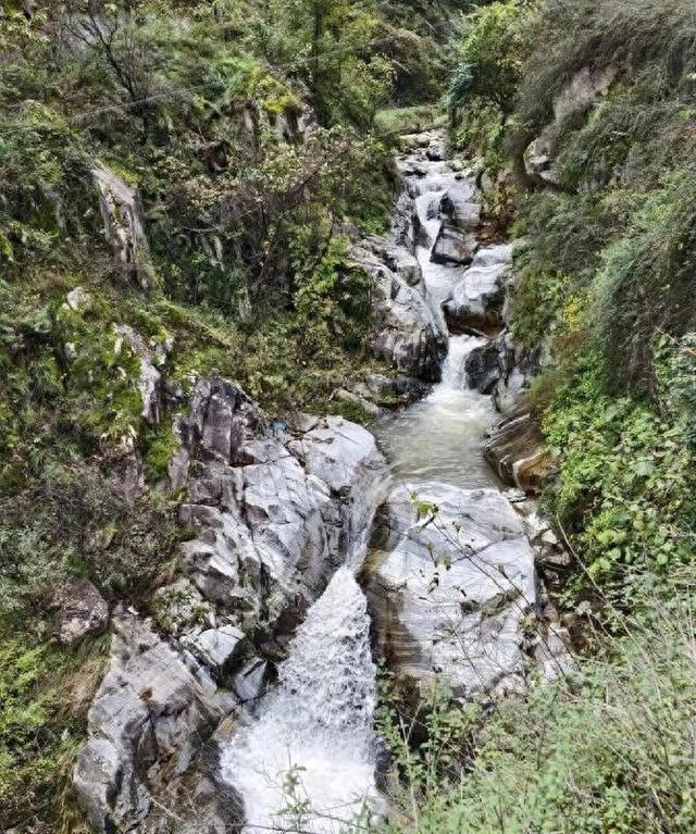 商州刘湾街道小龙峪村，藏着一挂10多米高瀑布和一棵400年古树