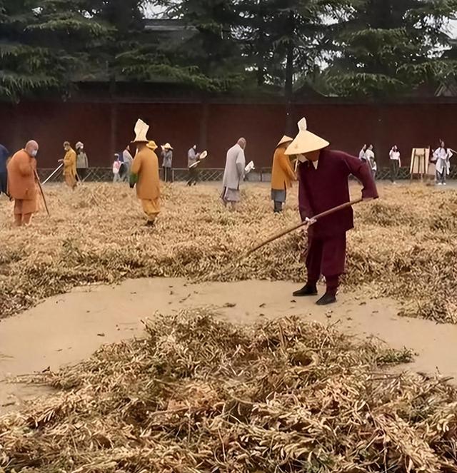 果然没猜错，少林寺新方丈实行新规后，知情人爆料已有30多人离职