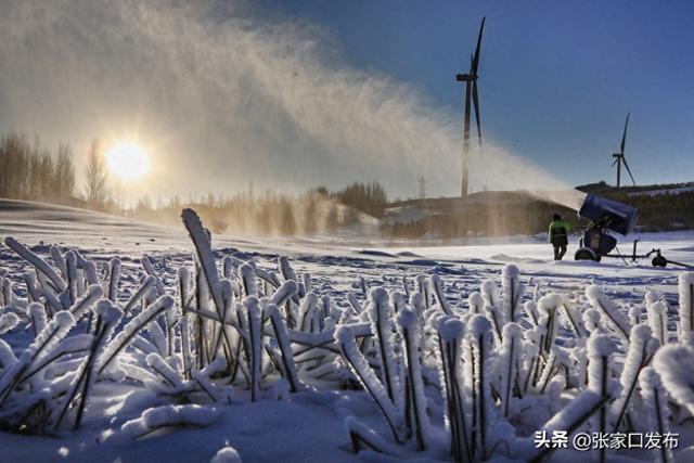尚义鸳鸯湖滑雪场造雪待客来