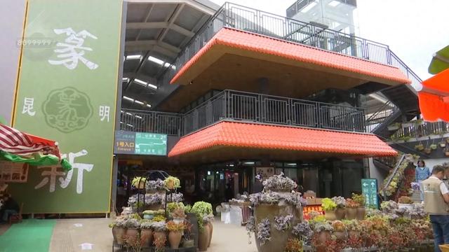 云南人太会玩！把菜市场做成“旅游文化”，逛吃感拉满