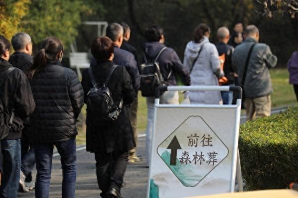 合肥大蜀山文化陵园举行2025年秋季生态礼葬