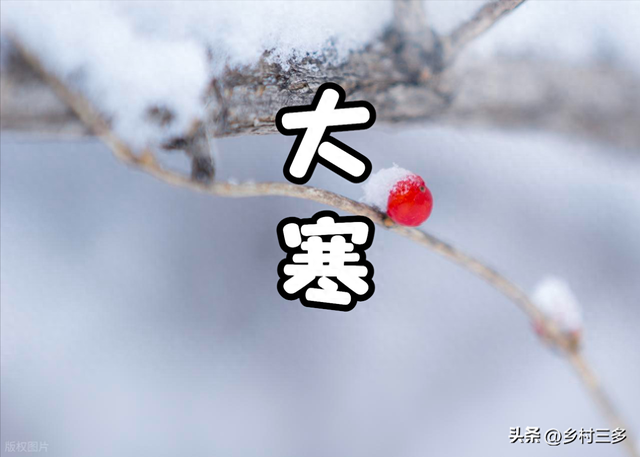 “春节冷不冷，就看大寒”，今日大寒，2026年春节特别冷吗？