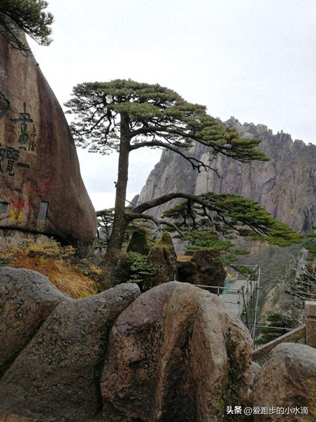 黄山：天下第一奇山的永恒魅力