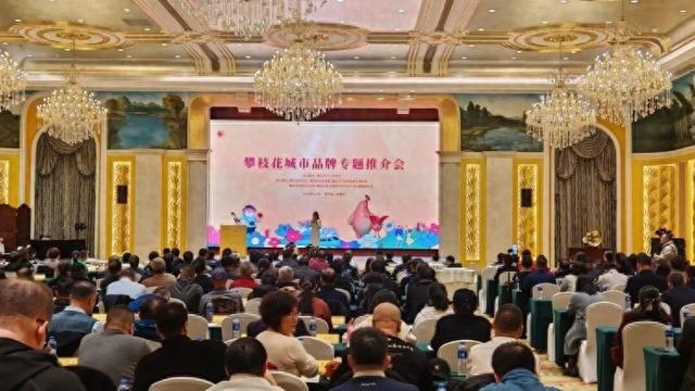 阳光花果城 康养攀枝花 | 攀枝花走进长春邀客：这里不止有阳光花果！