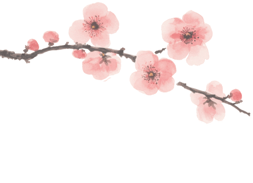 开啦！西安周边两处赏梅秘境，花开满屏VS品种多多，快去赏花走！