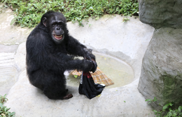 DONG见·新气象 | 以“流量”撬动“留量”，重庆文旅集团的景区火了！