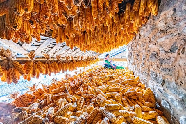 四川石棉蟹螺藏族乡：金秋藏堡 岁月鎏金