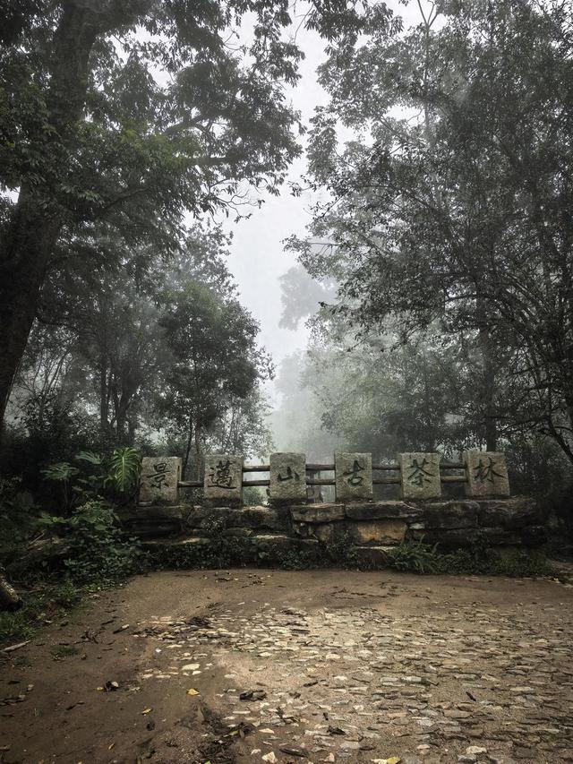云南景迈山申遗成功两周年：游客多了，村民收入翻倍，10月1日起试行免费预约入园机制