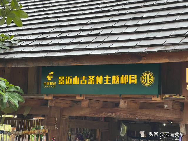 景迈山古茶林主题邮局成立