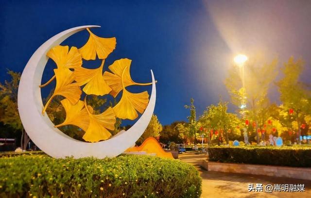 自在嵩明丨一站式遛娃、美食、运动！银杏广场的夜太会玩