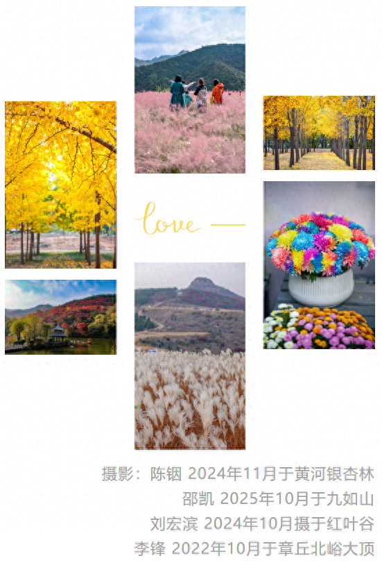 热门消息-济南的秋天，是懂“配色”的！(1)