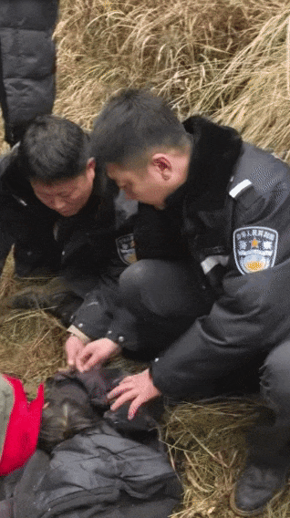 辽宁4岁女童称睡醒后自行下车，迷路后睡在草地，期间无人接触；其母发声：感谢大家给孩子第二次生命
