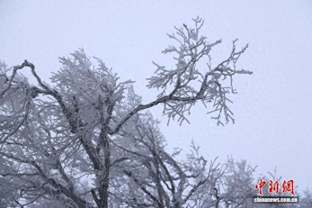 豫西落雪：白云山间银装素裹