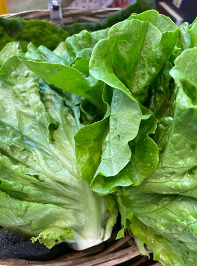 央视曝光“毒蔬菜	”！0.08克便可致器官衰竭	，已流窜到全国多地