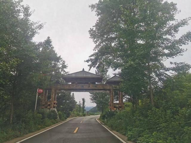 贵阳修文：古杏“红土”有“大木”
