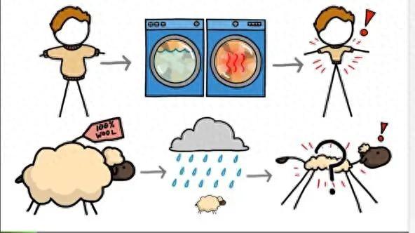 羊毛衫一洗就缩水	，那绵羊淋了雨，会不会被羊毛勒死？