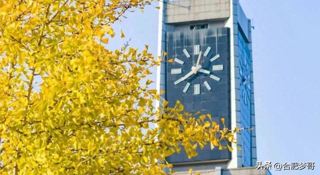 合肥市中心:徽州大道“金色大道”一眼回庐州