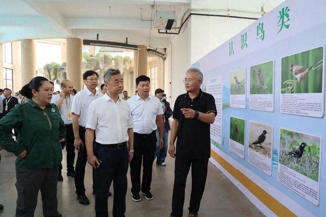 2025年益阳市文旅融合发展大会开展文旅项目观摩活动