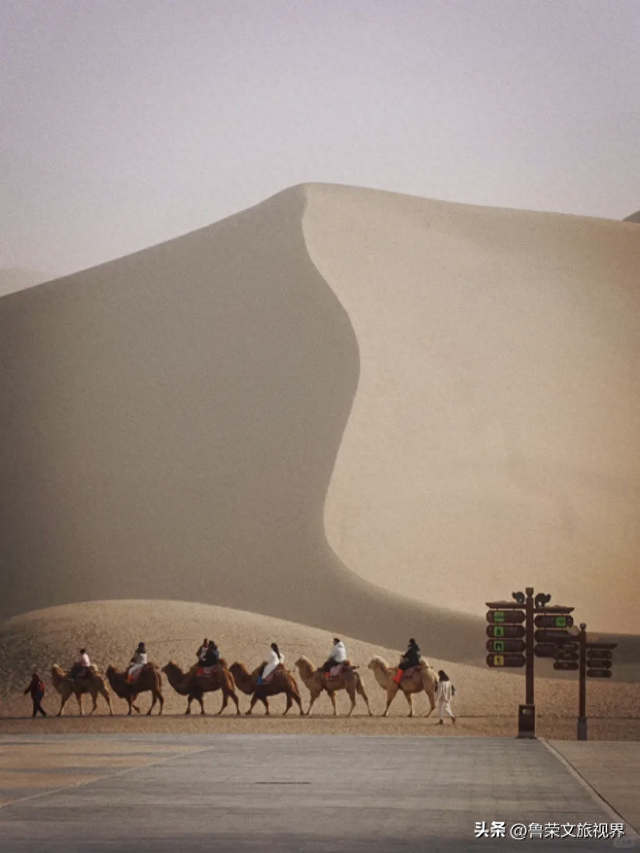 山河藏史诗，丝路续传奇：山西与河西走廊的双重旅行盛宴