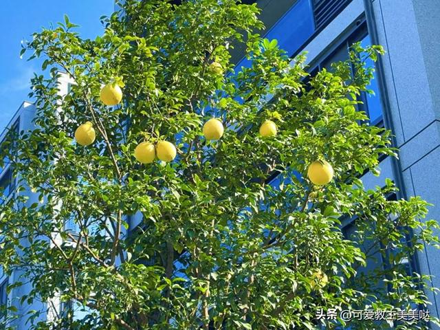那一年的杭州！