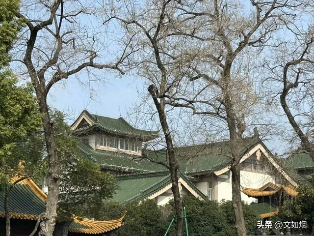 散文随笔:南京,南京