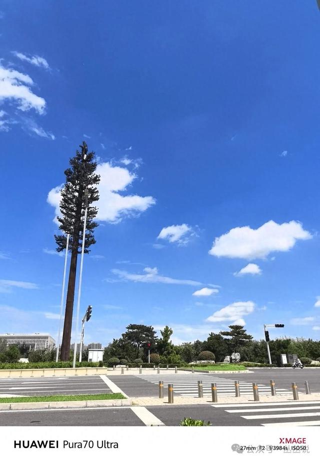 郑州人速来！苏东坡大型主题展逛展攻略来啦