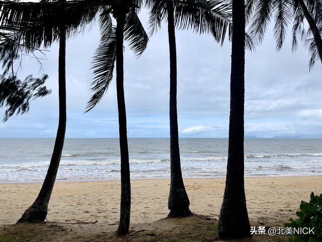 棕榈湾热带天堂的慢生活