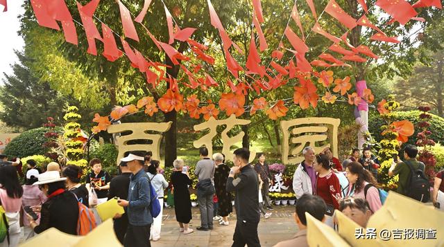 百花园金秋菊展人气爆棚，国庆前两日游人如织共赴花漾之约