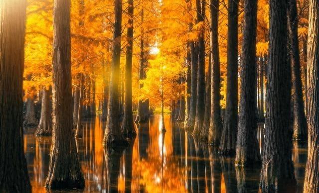 刚从上海回来，毫不夸张的说：未来最霸气的城市肯定是上海