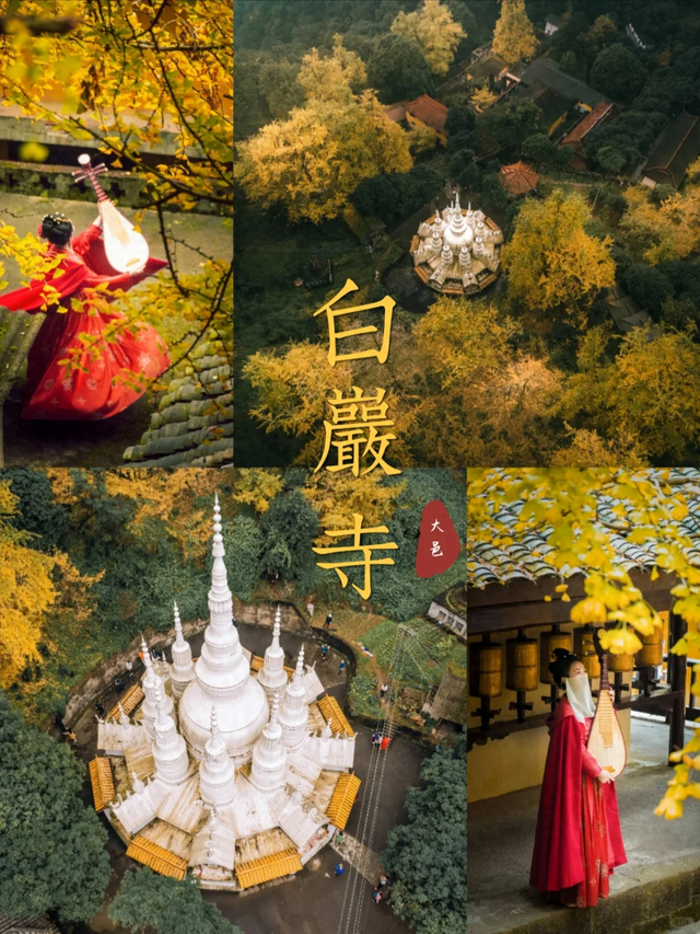 黄了红了！成都1.5h直达大邑白岩寺，徒步赏叶登顶攻略看这里~