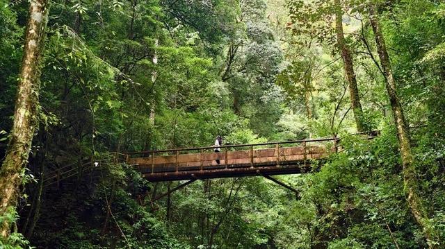 在飞瀑、幽峡与林海间遇见哀牢山生态旅居之美