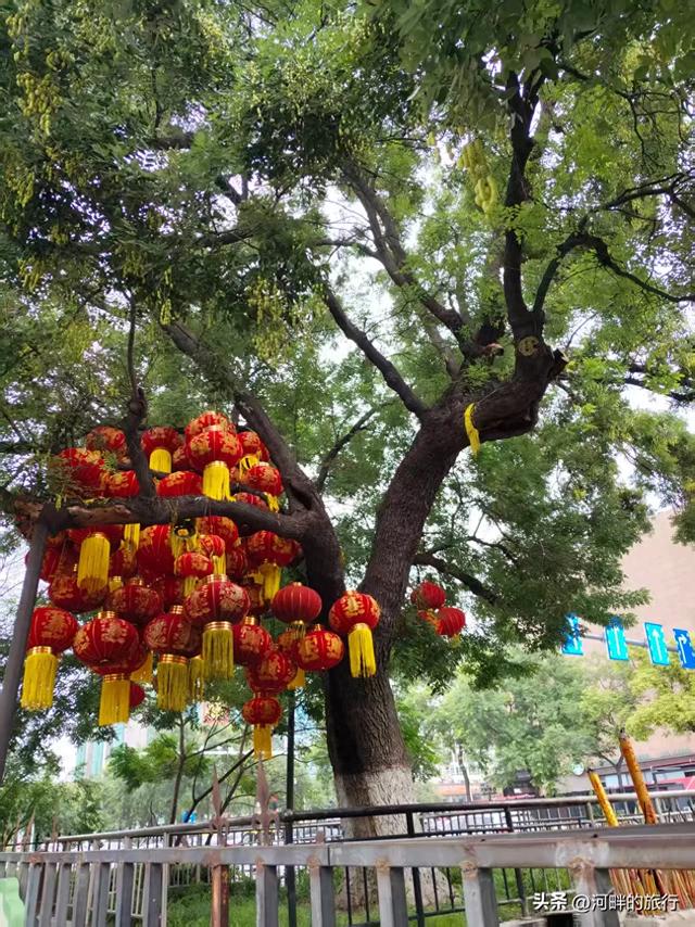 新乡市城里十字大槐树