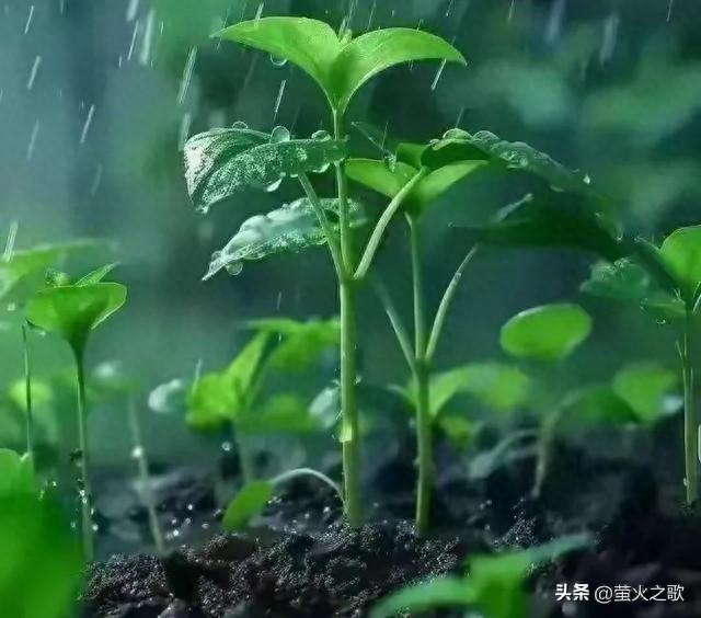 两性关系：50岁后夫妻必看，这4件事不注意，晚年可能吃大亏！